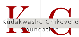 Logo 4